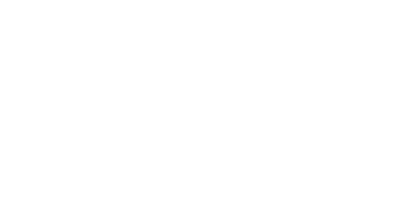 Логотип Компания «Камелия»