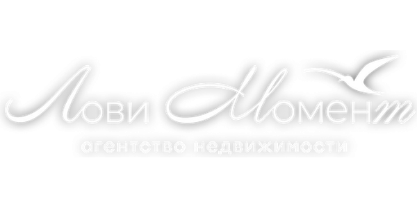 Логотип Агентство недвижимости "Лови Момент"